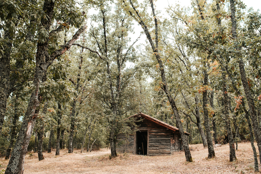 fotógrafos de bodas en Madrid