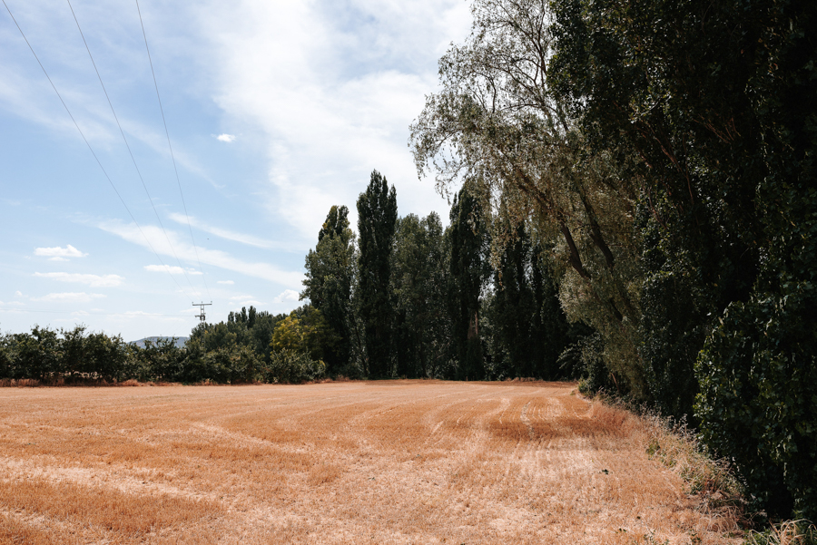 Boda en Molino de Rosales